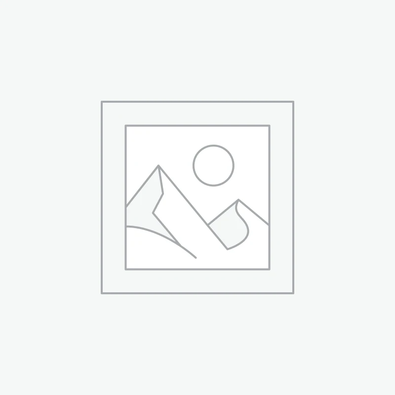 Doğal Manisa Taze Asma Yaprağı